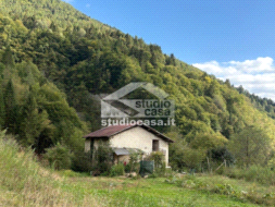 Baita in vendita a Cinte Tesino