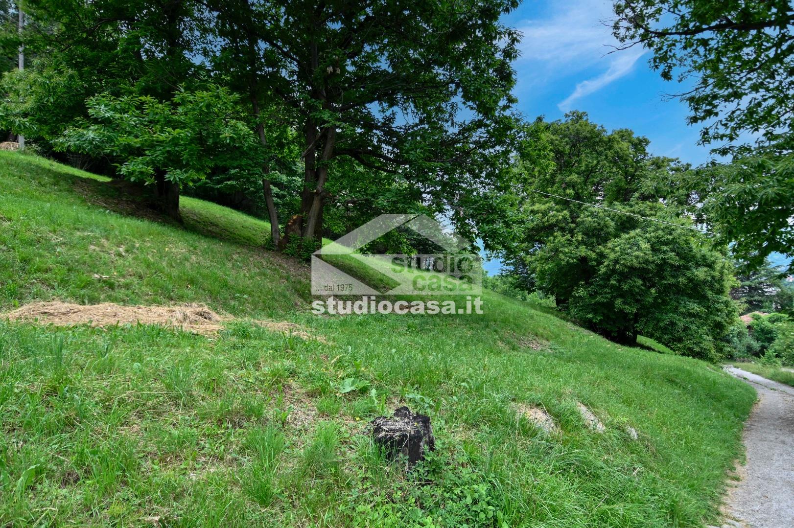Terreno Agricolo in vendita a Albino