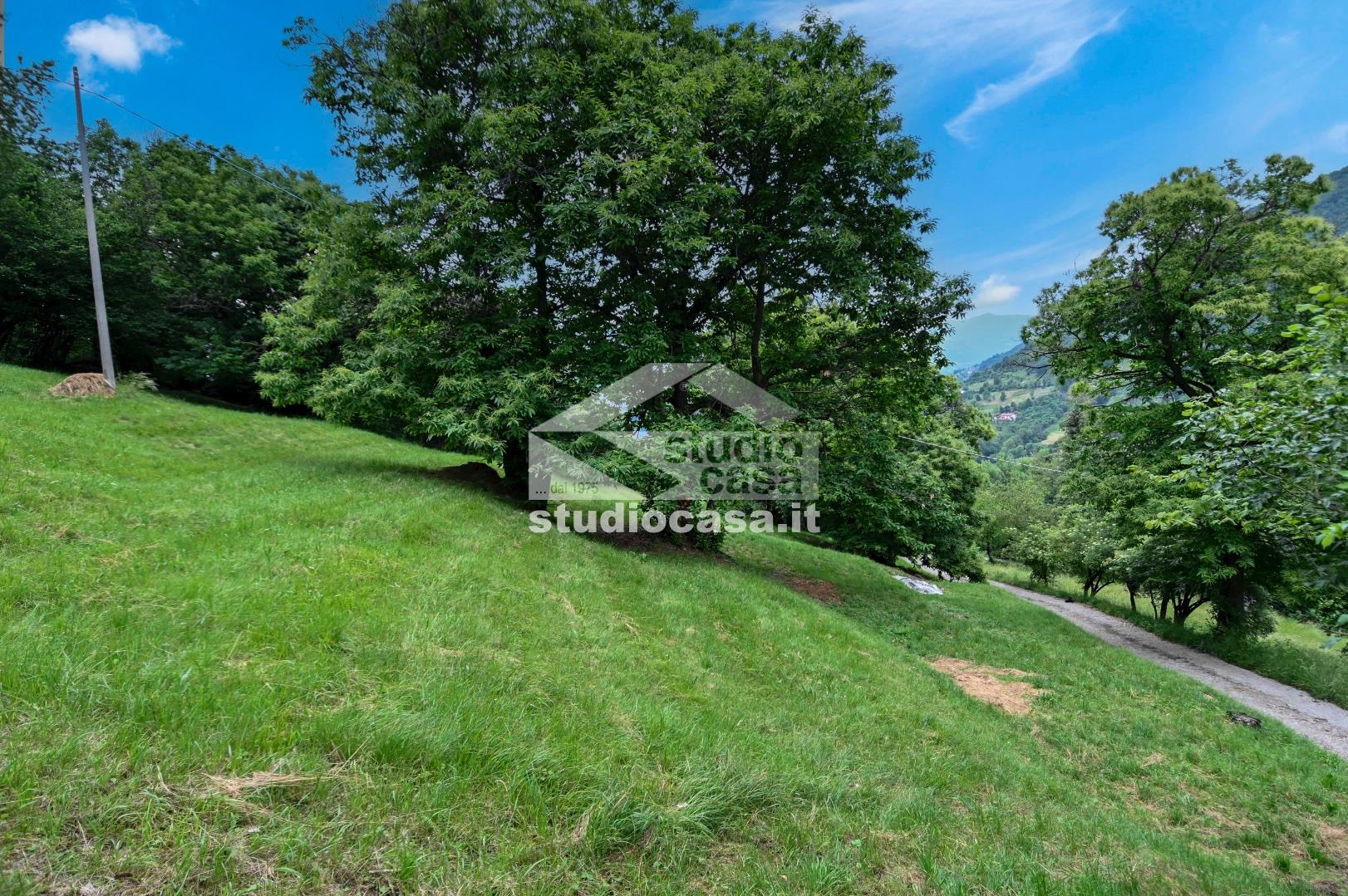 Terreno Agricolo in vendita a Albino