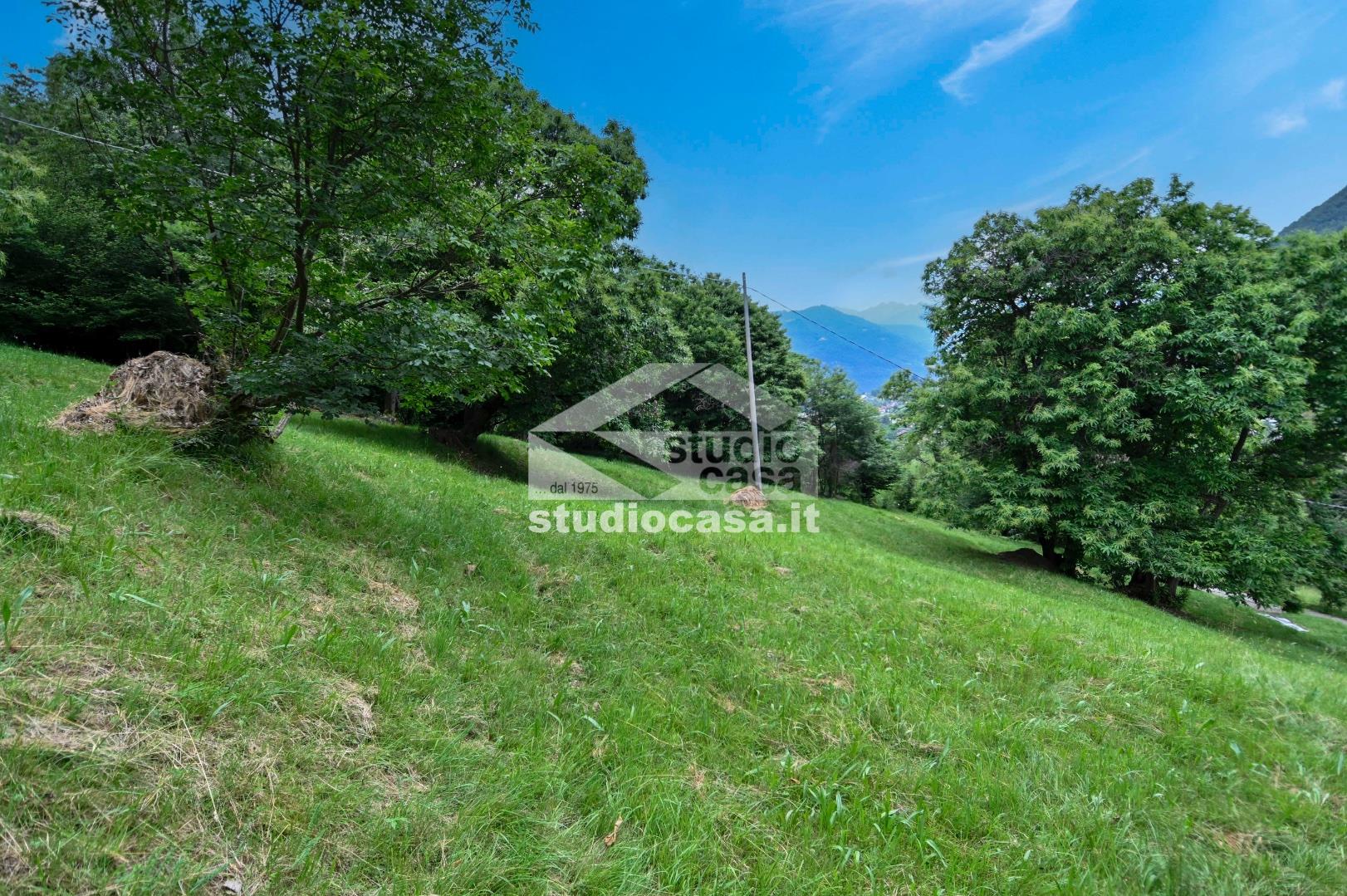 Terreno Agricolo in vendita a Albino