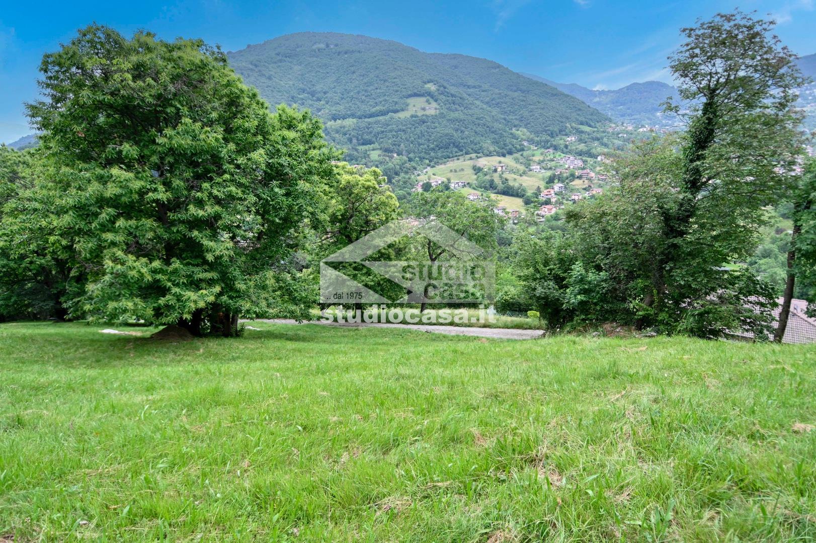 Terreno Agricolo in vendita a Albino