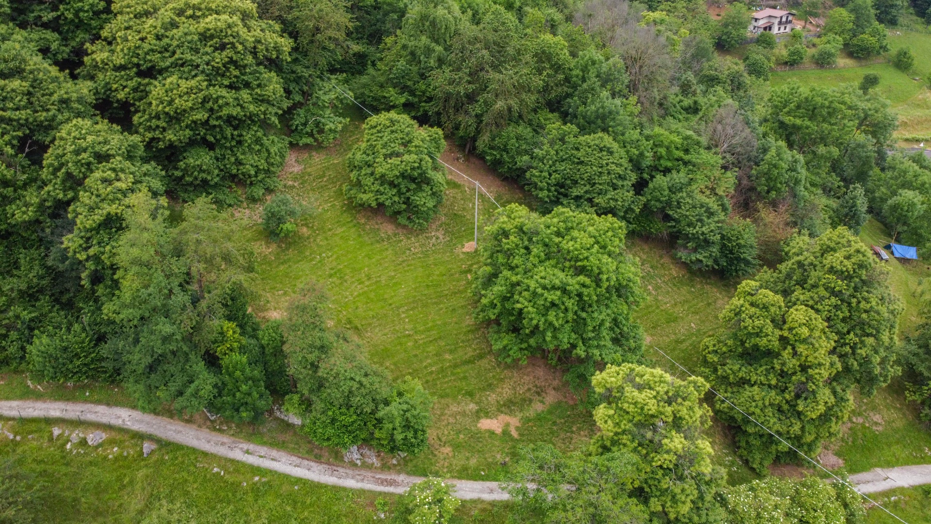 Terreno Agricolo in vendita a Albino