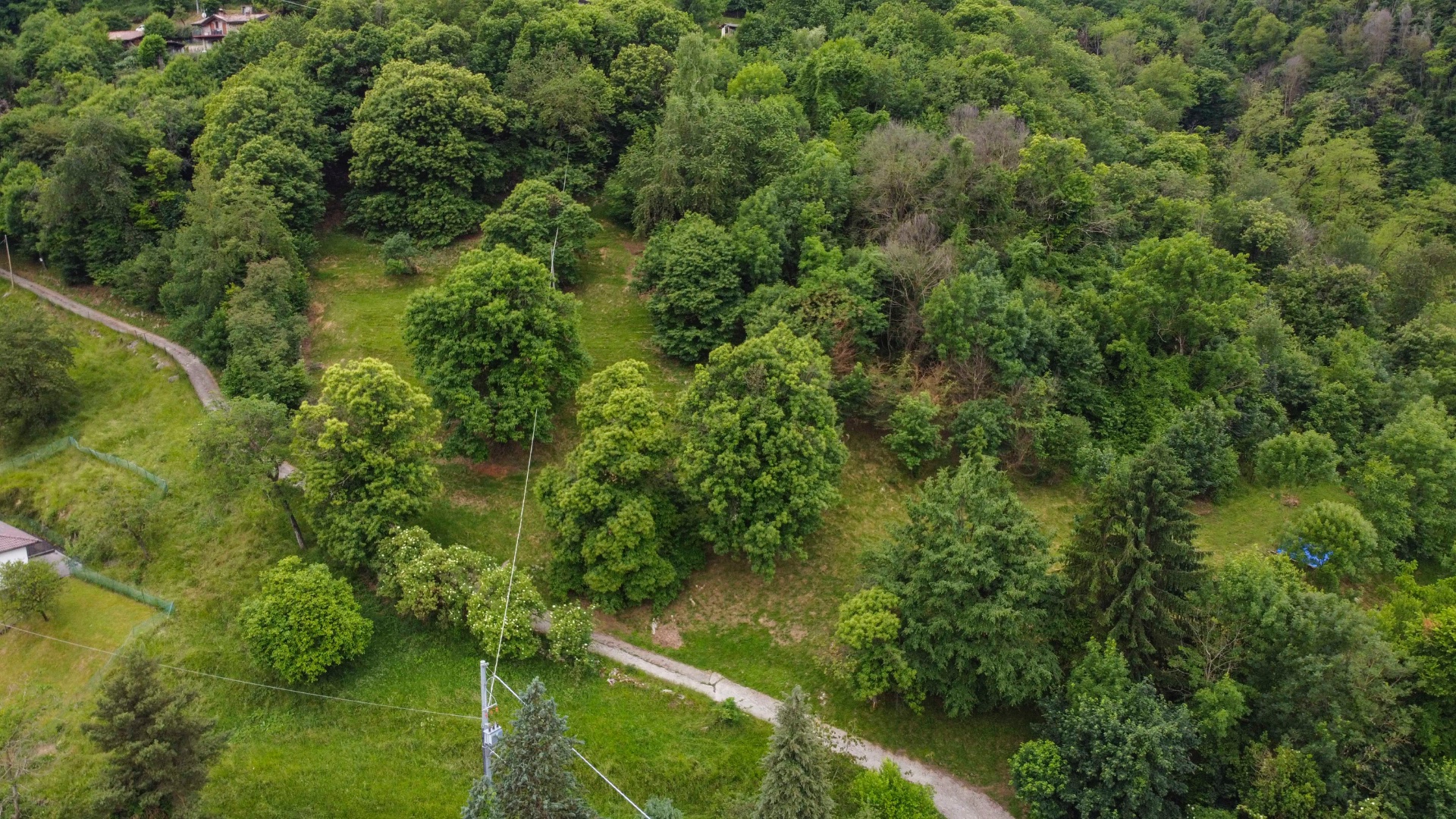 Terreno Agricolo in vendita a Albino