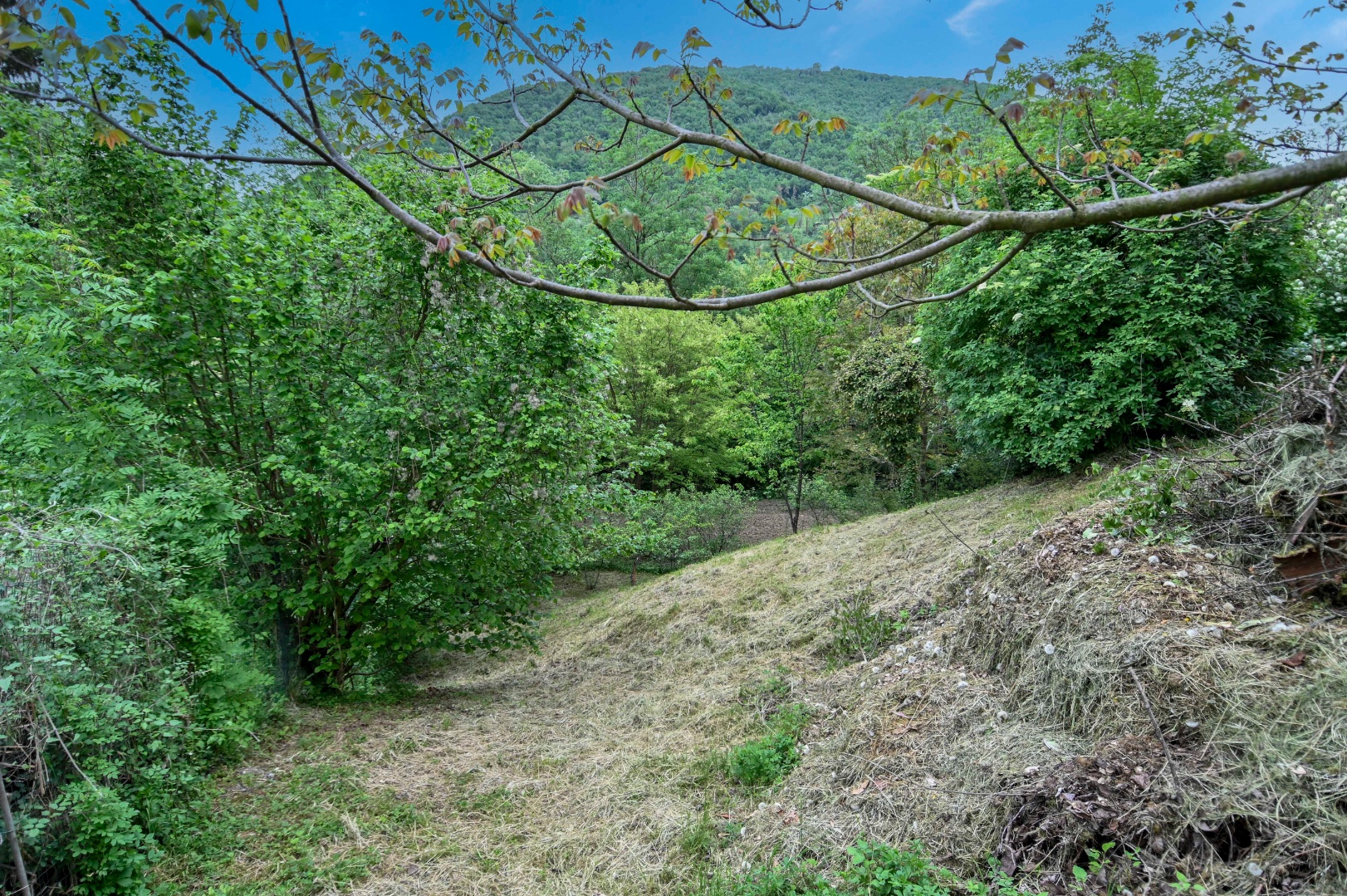 Villa Unifamiliare in vendita a Albino