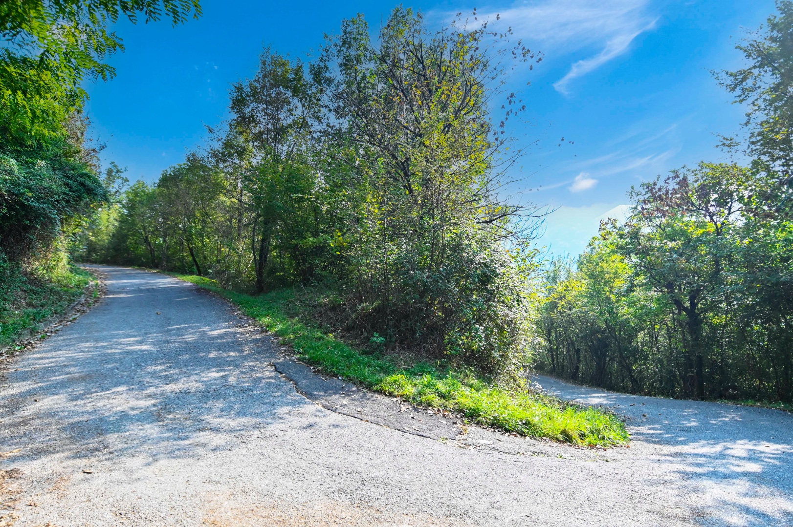 Terreno Boschivo in vendita a Pradalunga