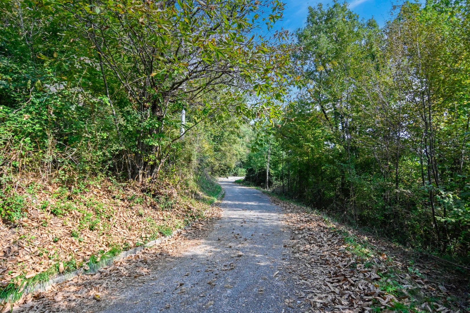 Terreno Boschivo in vendita a Pradalunga