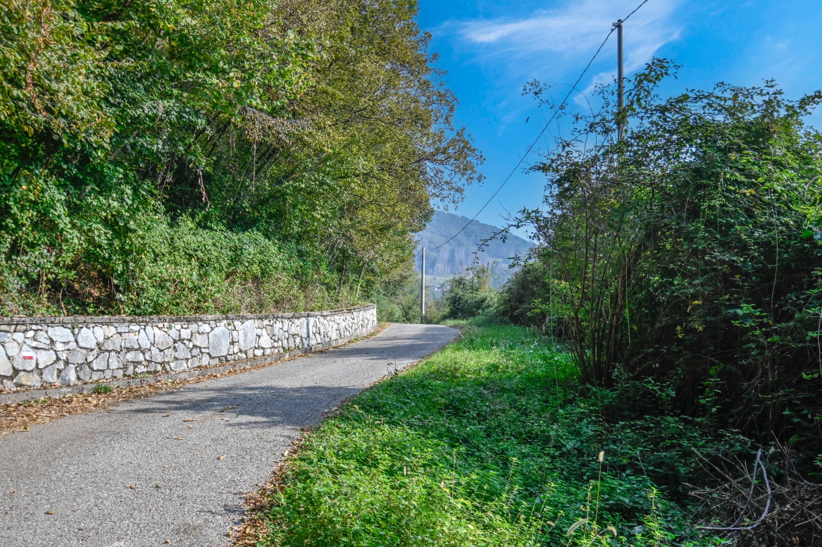 Terreno Boschivo in vendita a Pradalunga