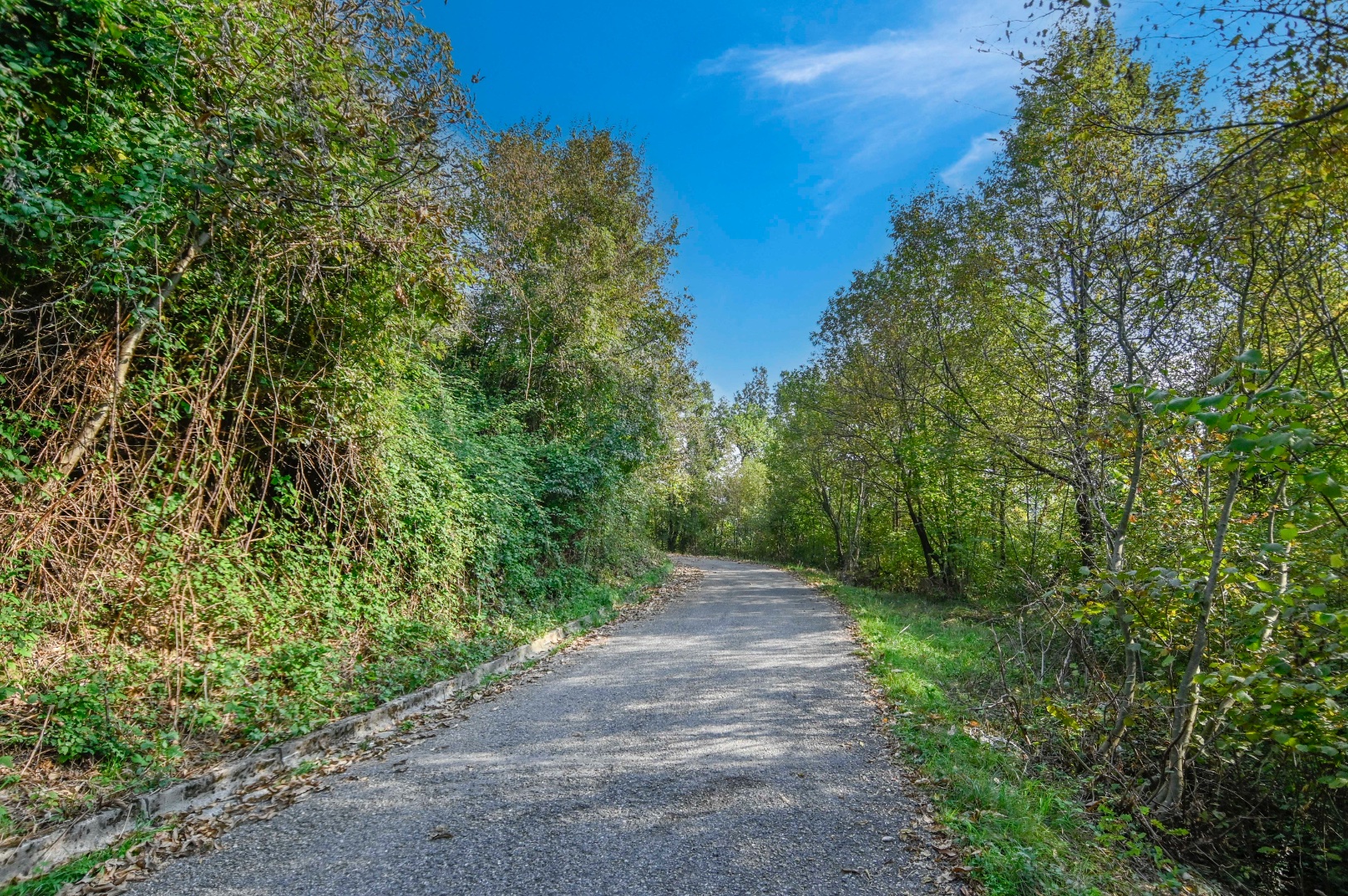 Terreno Boschivo in vendita a Pradalunga
