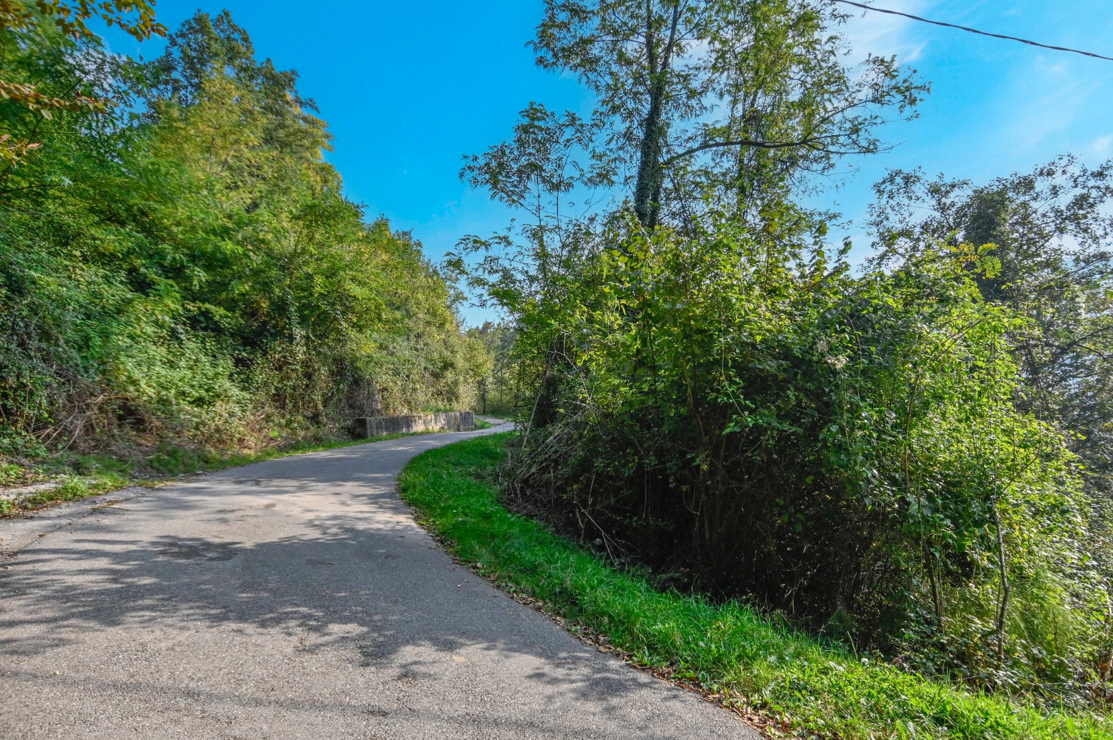 Terreno Boschivo in vendita a Pradalunga