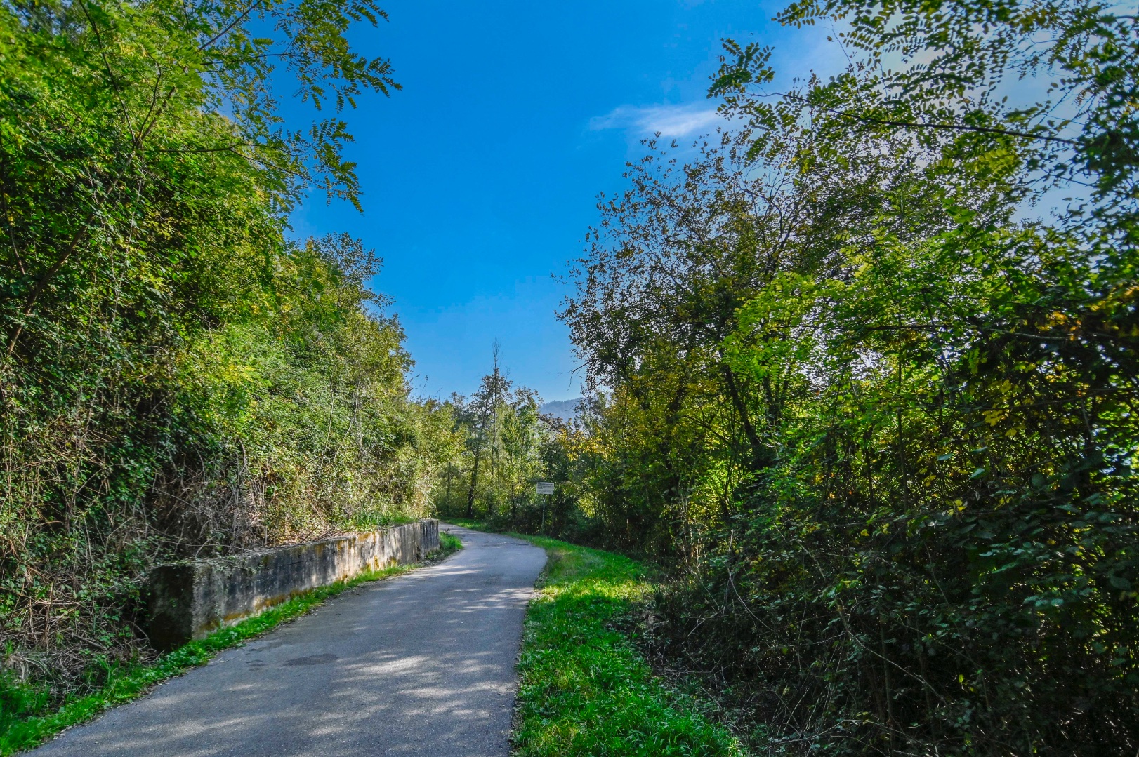 Terreno Boschivo in vendita a Pradalunga