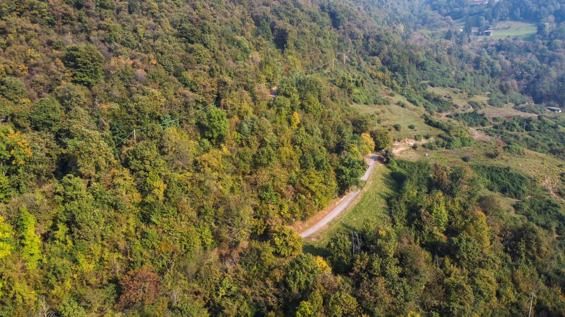 Terreno Boschivo in vendita a Pradalunga