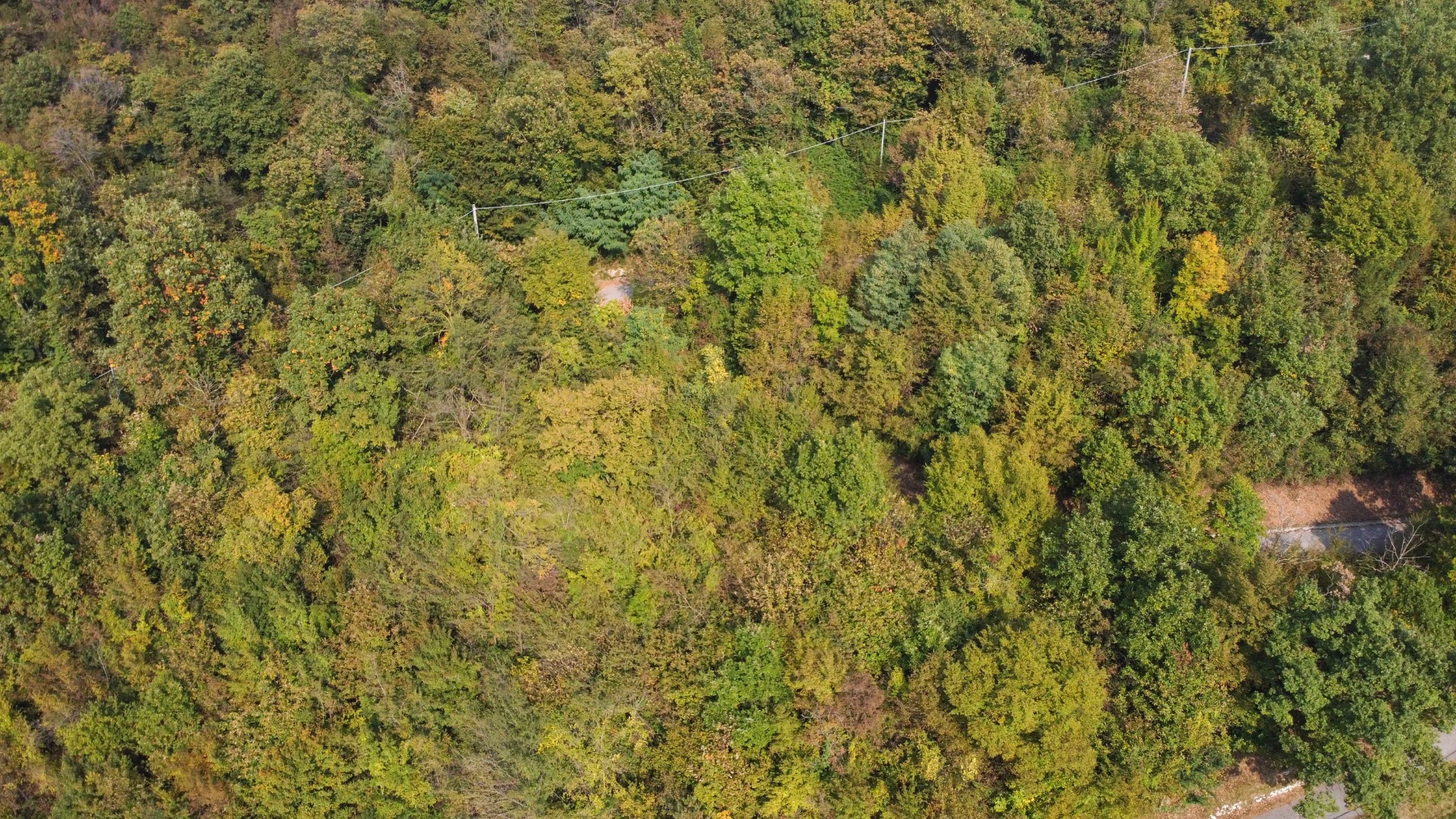 Terreno Boschivo in vendita a Pradalunga