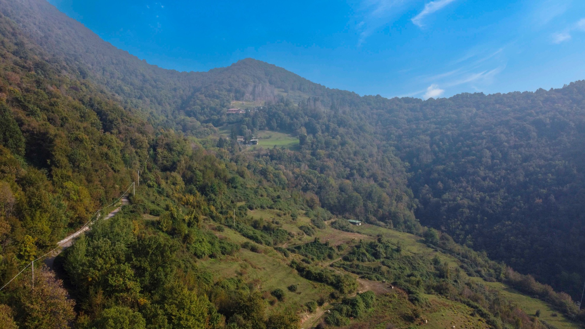 Terreno Boschivo in vendita a Pradalunga
