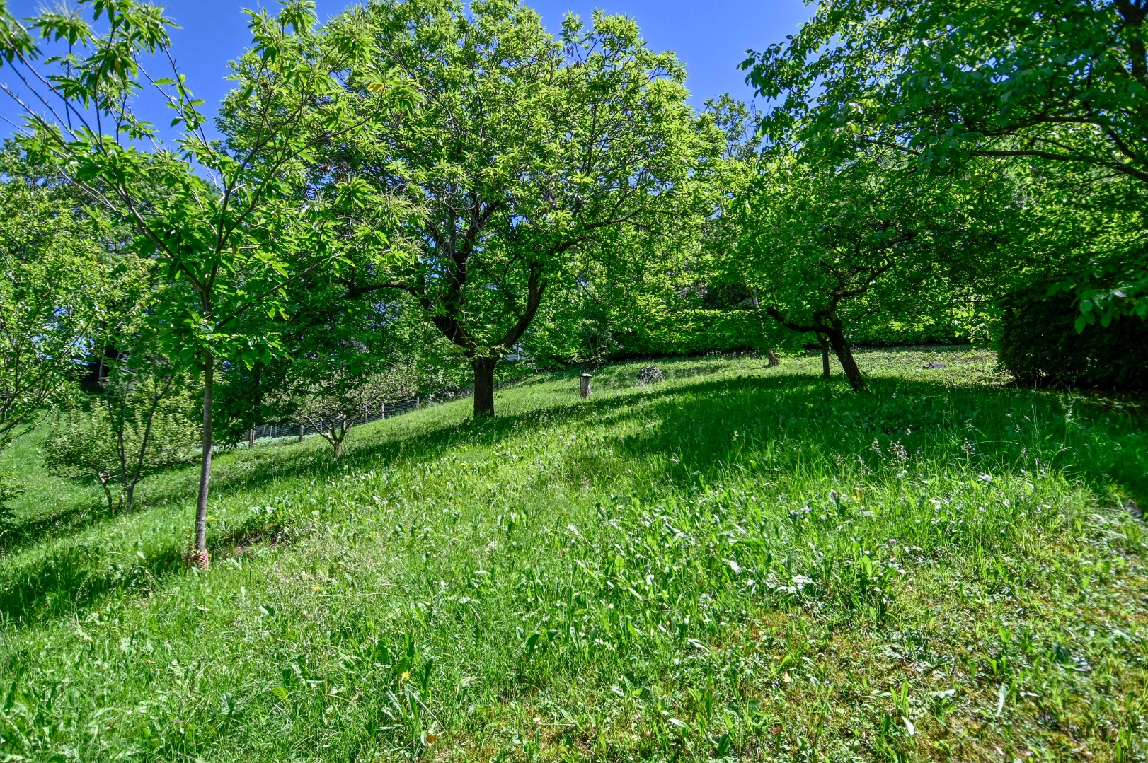 Villa Unifamiliare in vendita a Albino