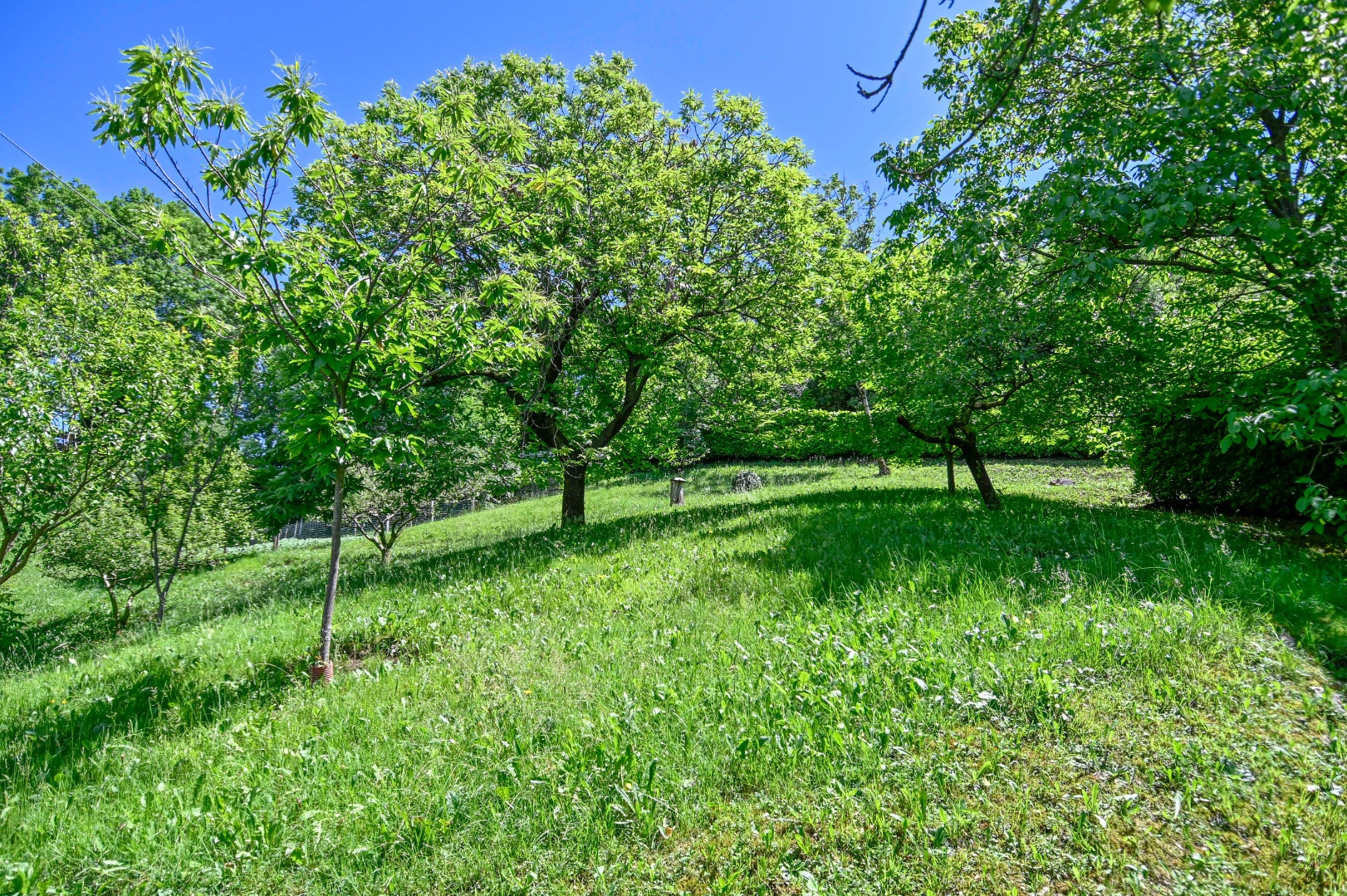 Villa Unifamiliare in vendita a Albino