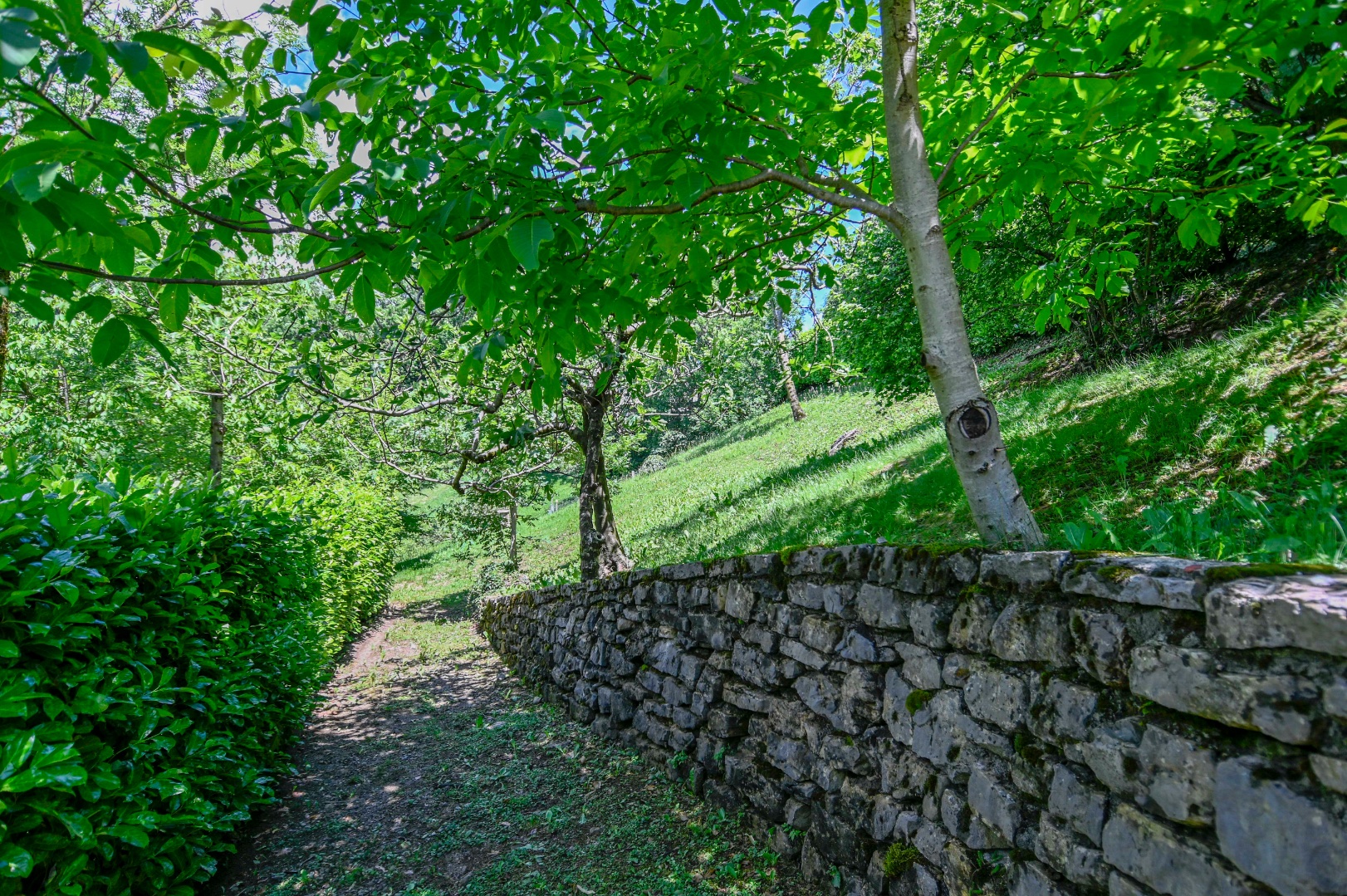 Villa Unifamiliare in vendita a Albino