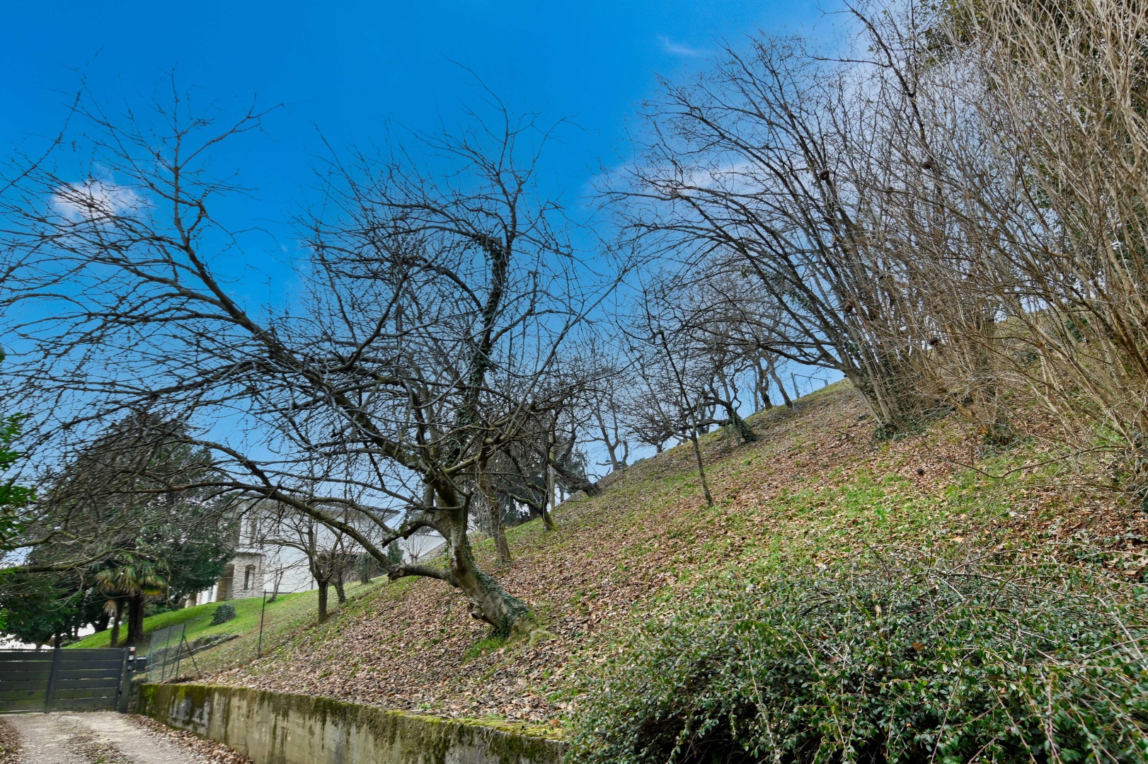 Terreno Residenziale in vendita a Cenate Sopra