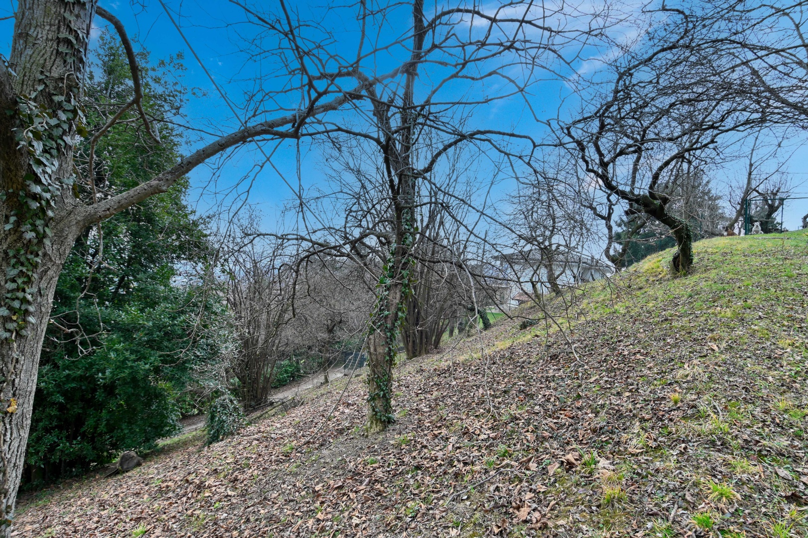 Terreno Residenziale in vendita a Cenate Sopra