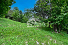 Terreno Agricolo in vendita a Albino