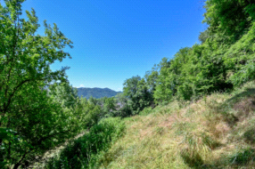 Cascina in vendita a Gandino